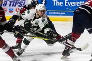 Everetts Matt Fonteyne makes a shot attempt against the Tri-City Americans in game 5 at the Angel of the Winds Arena Saturday night in Everett on April 28, 2018. (Kevin Clark / The Herald)