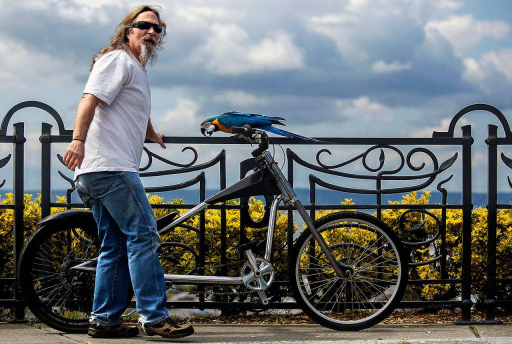 In Grand Avenue Park, Rod Shafer parks his bicyle againts the iron fence overlooking the Everett Marina, Port of Everett and Naval Station Everett. Sally simply steps off the handlebars to enjoy the view from the convenient perch. (Dan Bates / The Herald)