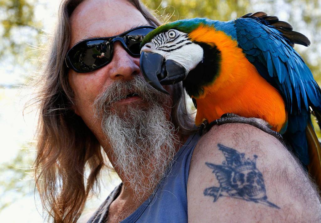 Retired house painter Rod Shafer with his longtime companion, Sally, a 27-year-old macaw. Sally has been with Shafer 17 years. (Dan Bates / The Herald)