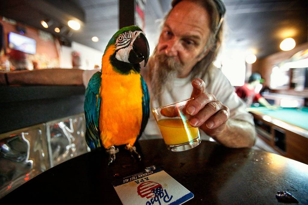 At Tony Vs Garage, Rod Shafer, who has given up alcohol, offers Sally a little more pineapple juice in her own glass, but she is holding out for another cube of ice from his root beer, which he is holding far away as possible with his other hand.