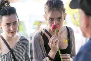 Snohomish Farmers Market kicks off the season of local food