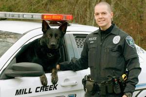 Elegy: Good police dog Rasko was not ready for retirement