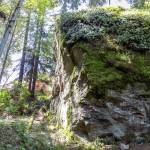 The Lake Stevens erratic, near State Highway 204, is one of the largest in North America. (Kevin Clark / The Herald)