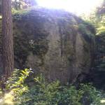 A 20-minute hike in the forest of Saratoga Woods near Langley on Whidbey Island leads to the Waterman Erratic, once called The Mother of All Erratics. (Evan Thompson / The Herald)