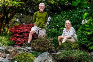 Rock gardens: ‘Yes you can’ grow these plants right in your back yard