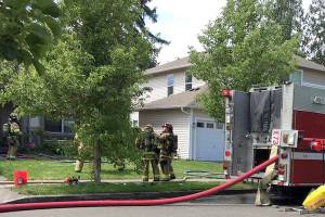 Man injured slightly, 4 dogs OK after Bothell house fire