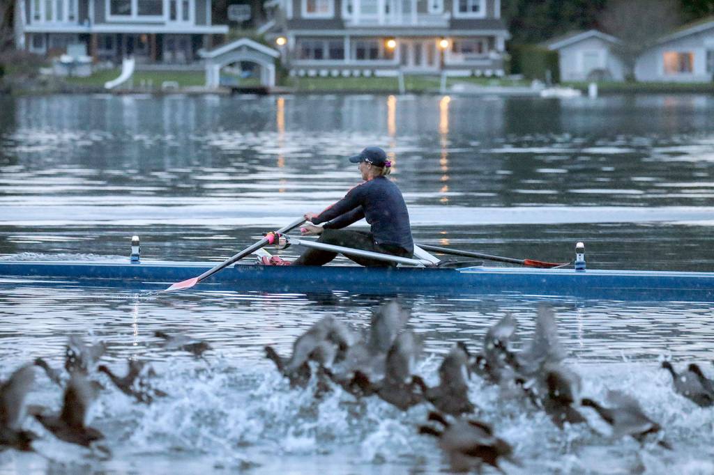 Jen Huffman, a member of the North Cascades Crew, trains in 2016. She is the granddaughter of Joe Rantz, a member of the 1936 University of Washington crew and a central figure of the book The Boys in the Boat. (Kevin Clark / The Herald)
