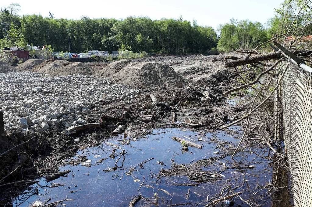 Unpermitted clearing and grading obliterated a wetland on a site along Center Road just south of Paine Field. (Lizz Giordano / The Herald)