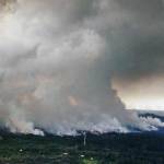 A plume of volcanic steam rises from the alignment of fissures in Hawaiis Kilauea East Rift zone on Wednesday. (Cindy Ellen Russell/Honolulu Star-Advertiser via AP)