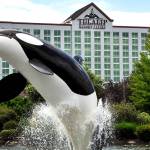 Tax lawsuit reveals Tulalips have $300 million in cash, bonds