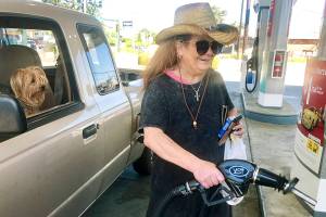 Plan your trip: High gas prices won’t keep everyone home