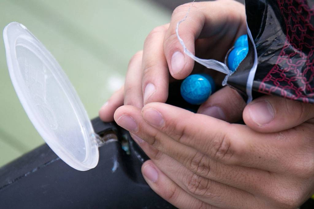 Paintballs a loaded into a hopper at Doodlebug Sportz in Snohomish Saturday afternoon on March 31, 2018. (Kevin Clark / The Daily Herald)