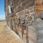 This is the exterior of a building at Minidoka National Historic Site where thousands of people of Japanese ancestry were in custody of the War Relocation Authority during World War II in southern Idaho. After the war, many of the 600 buildings were allocated to veterans and the land was homesteaded. What remained was salvaged by locals for their farmhouses and barns. (Glen Watanabe)
