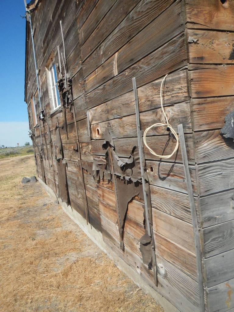 This is the exterior of a building at Minidoka National Historic Site where thousands of people of Japanese ancestry were in custody of the War Relocation Authority during World War II in southern Idaho. After the war, many of the 600 buildings were allocated to veterans and the land was homesteaded. What remained was salvaged by locals for their farmhouses and barns. (Glen Watanabe)