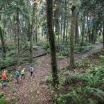 Kevin Clark / Herald file                                Joseph Cospito (left), Gregg Lungren, Todd Zackey, Joan Smith and Emily Mydynski make their way out of a ravine Nov. 6, 2015, after giving Zackey a tour of a proposed 112-home development.