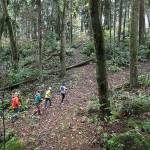 Mukilteo community ‘devastated’ over Frognal Estates ruling