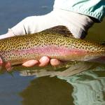 A beautiful drive and some good fishing in the Methow Valley