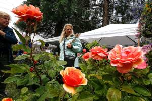Sorticulture: Get inspired at Everett’s garden arts festival