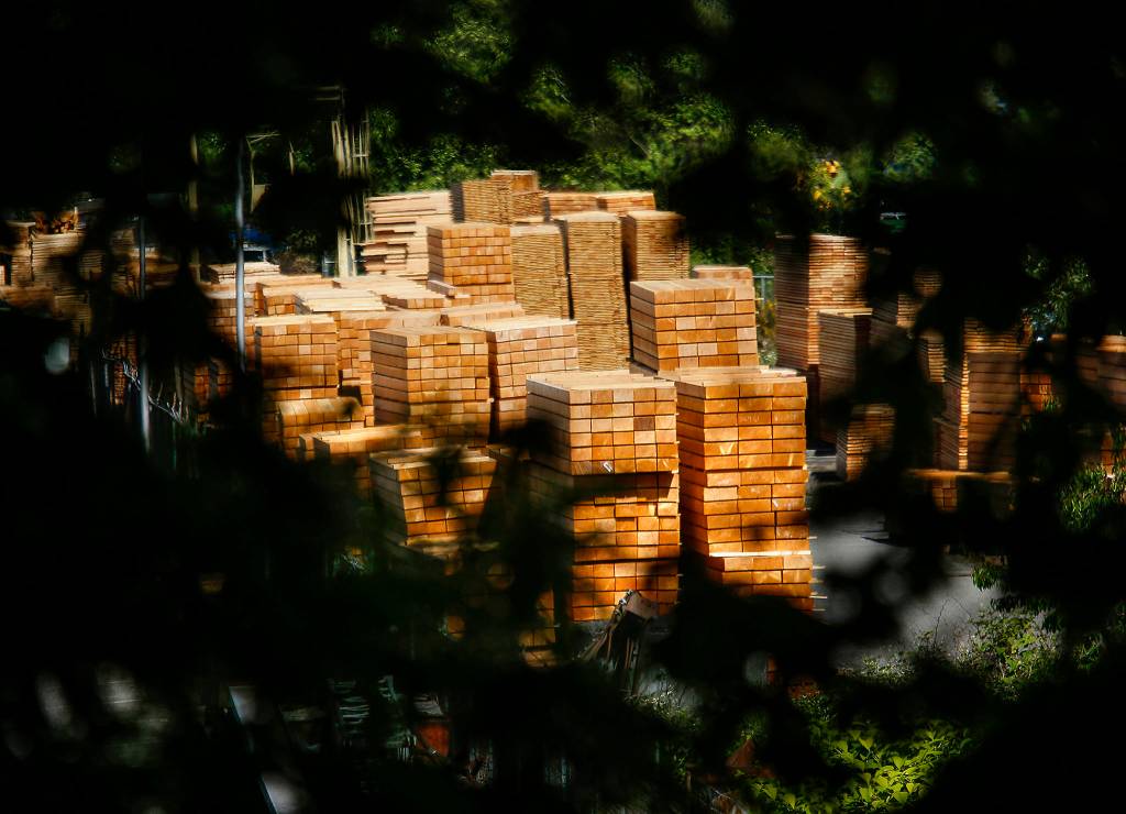 Not far from the End of the Mill Town Trail sign, a hole in the woods reveals the work of Canyon Lumber. (Dan Bates / The Herald)