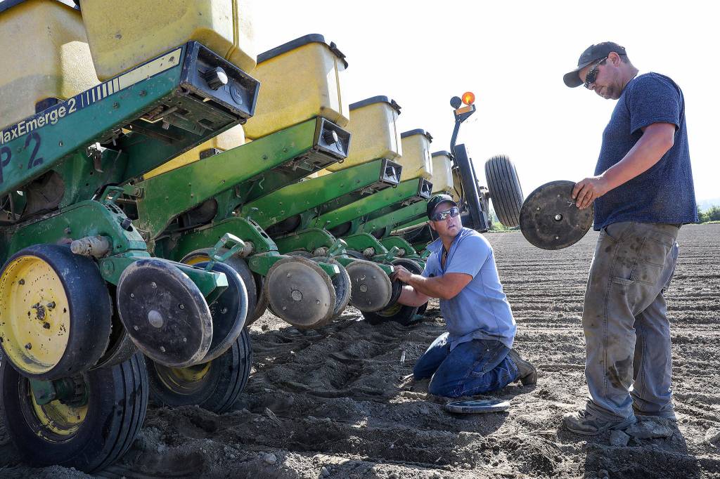 Arlington hay farmer Andrew Albert cant match the price developers are able to pay for rural lands. (Lizz Giordano / The Herald)
