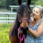 Snohomish woman honored for volunteer work at horse rescue