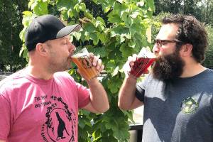 Drink this: The Hop and Hound brew commemorates mascot hound