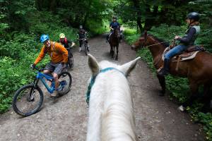 Mountain bike riders Mike McGuire, left, Keith Goodnight and Frank Rentko ride by horse riders Janet Berko and Catherine Collins, right, on a trail at Lord Hill Park on Saturday, June 16, 2018 in Snohomish, Wa. (Andy Bronson / The Herald)