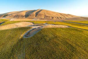 Red Mountain among Washington’s most important wine regions