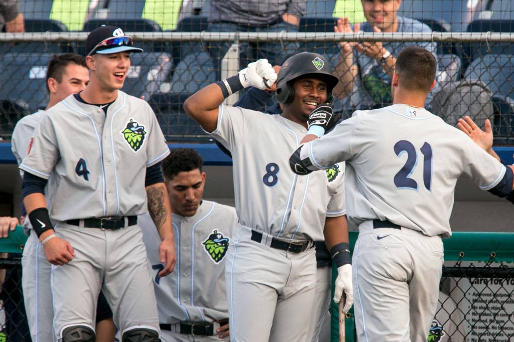 The Hops Joey Rose (21) makes his way to the dugout to celebrate with teammates Ryan January (4) and Keshawn Lynch (8) after hitting a home run in the third inning against the AquaSox on June 15, 2018, at Everett Memorial Stadium. (Kevin Clark / The Herald)
