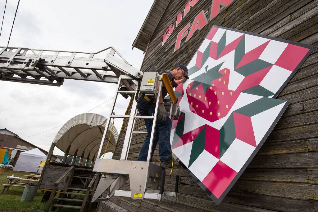 Scott Hines, of Marshall Signs, uses his foot to hold up the second half of a barn quilt during installation at Biringer Farm on June 8 in Arlington. Read the story <a href="https://www.heraldnet.com/news/biringer-farm-gets-countys-first-quilt-for-quilt-trail/" target="_blank">here</a>. (Andy Bronson / The Herald)