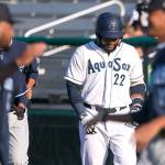 Aquasoxs Onil Pena walks dejected through the celebrating Hillsboro Hops Sunday afternoon at Everett Memorial Stadium in Everett on June 17, 2018. (Kevin Clark / The Herald)