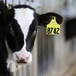 Editorial: State jobs a battlefield in Trump’s trade wars