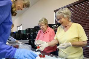 Kristen Forster (left); Mary Rupert (center) and Pat Walster (right) sort strawberries in preparation for that weeks distribution day. (Lizz Giordano / The Herald)