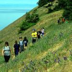 Fourth- and fifth-graders from Twin City Elementary School in Stanwood hike during a local geology field trip June 6 at Ebeys Landing on central Whidbey Island. (Contributed photo)