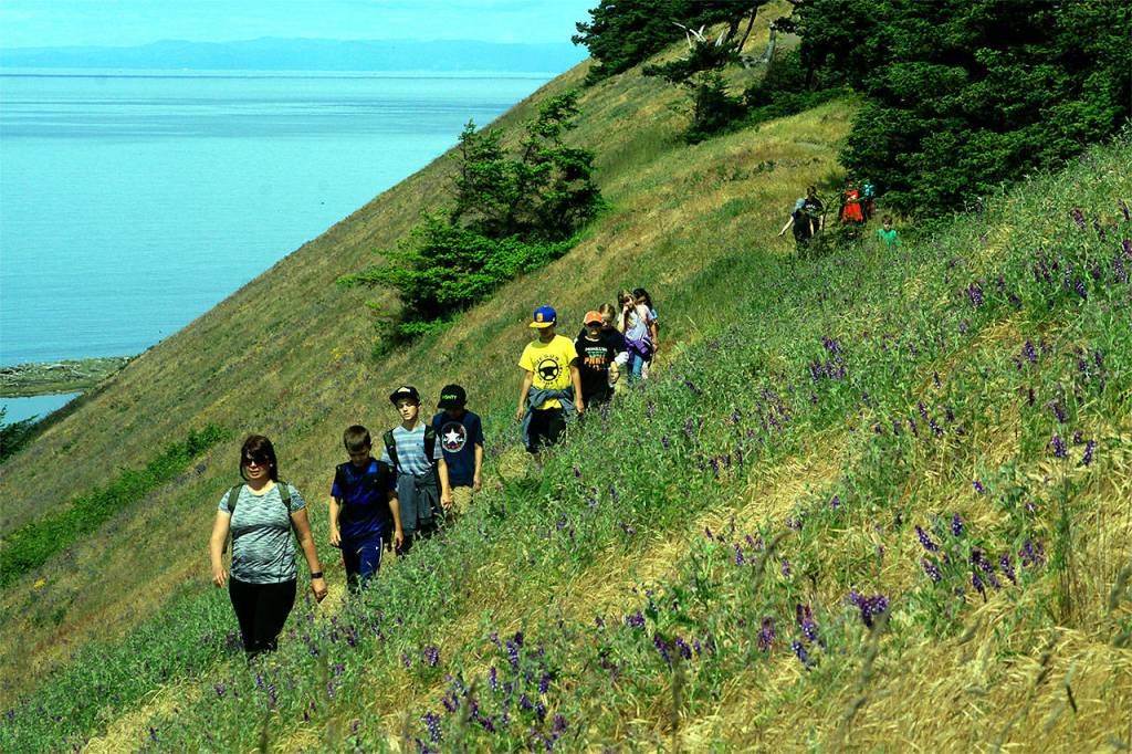 Fourth- and fifth-graders from Twin City Elementary School in Stanwood hike during a local geology field trip June 6 at Ebeys Landing on central Whidbey Island. (Contributed photo)