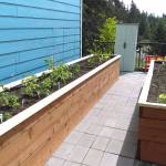 The Lynnwood Emblem Club purchased and planted vegetables and herbs at the new garden at Sebastian Place. (Contributed photo)