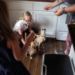 Zoe Bennett holds her familys two dogs Bear and Griz as they are fed the leftover broken treats by her mom and sister on Thursday in Marysville. (Olivia Vanni / The Herald)