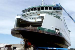 800 canceled ferry sailings due to tangled crab pot lines