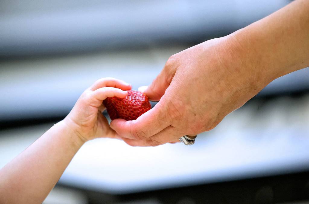 A mother hands her child a strawberry as families with children and teens eat at the Summer Free Lunch Program in the cafeteria at Sunnycrest Elementary on June 20in Lake Stevens. (Andy Bronson / The Herald)