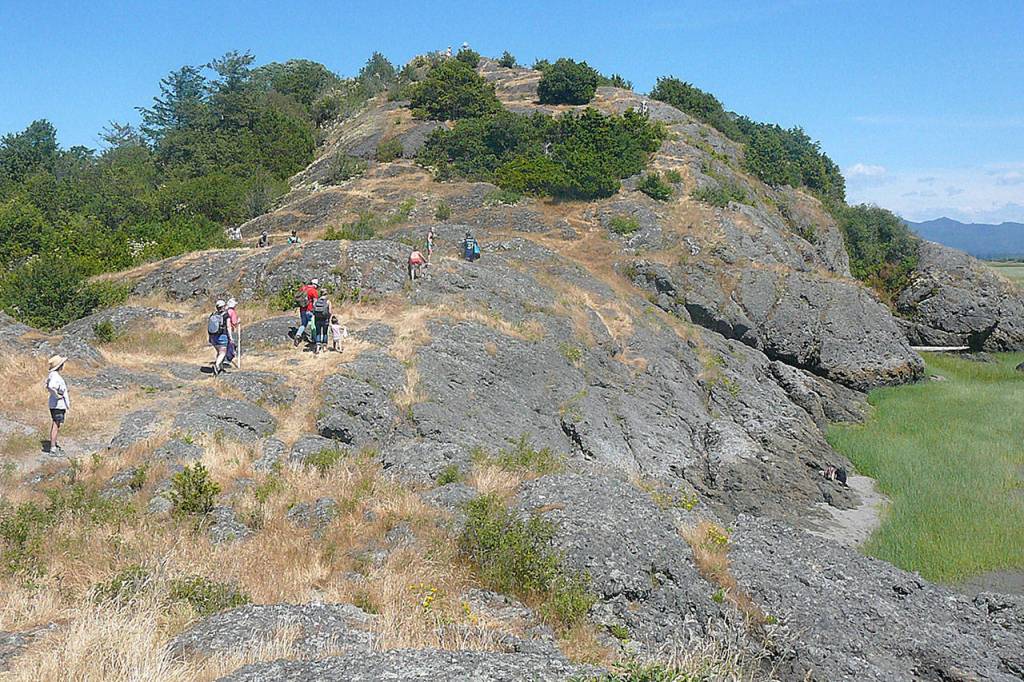Juniper and moss- and lichen-covered rocks make the south side of Craft Island look just like the San Juan Islands farther north. Its an easy climb to the islands high point for views in every direction. (Mark Carlson / The Herald)