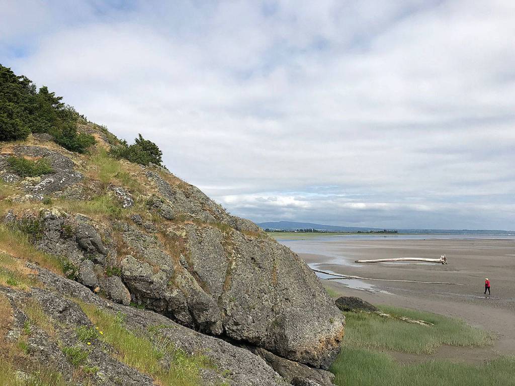 Craft Island is a 2½-acre rock knob, reachable by an easy (but muddy) walk of just under 1 mile. (Mark Carlson / The Herald)