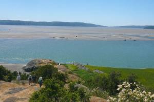 Skagit County’s lovely Craft Island is worth the muddy trek