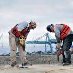Journeyman pile driver Eugene Bowen (left) and Chris McKinsey, an apprentice pile driver, drill holes during strengthening work on the South Terminal wharf at the south end of the waterfront. (Sue Misao / The Herald)