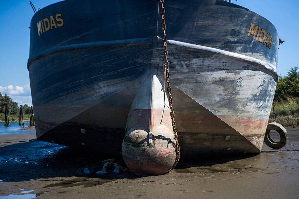 The Hannah Marie sits beached on the bank of the Snohomish River in Everett. (Olivia Vanni / The Herald)