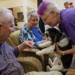 Shirley Mallonee watches as Sally Cote places her dog, Mojo, into Jim Mallonees lap at Brookdale Silver Lake. (Olivia Vanni / The Herald)