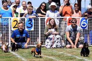 Pooches take center stage at Marysville’s Poochapalooza