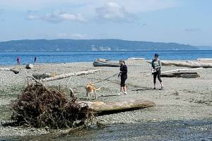 Railroad bridge would help fish habitat — but at a high cost
