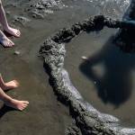 A group of children watches as a ghost shrimp buries itself in the sand on Jetty Island on Thursday in Everett. (Olivia Vanni / The Herald)