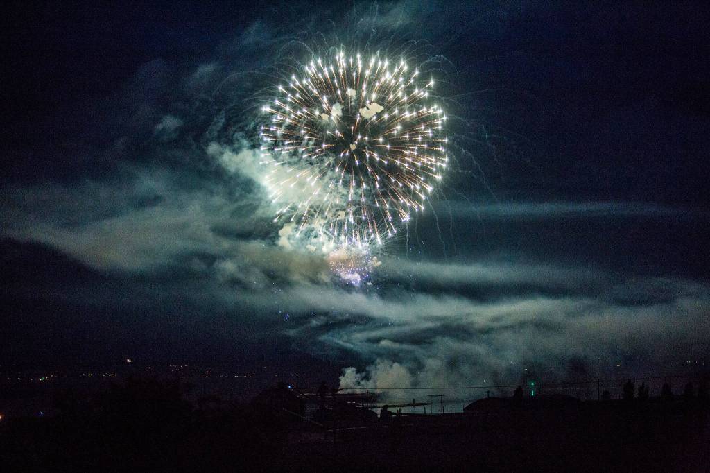 Thunder on the Bay Fireworks are seen from Legion Memorial Park on Wednesday in Everett. (Olivia Vanni / The Herald)