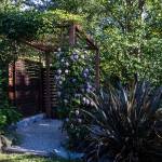 A jasmine plant grows up a metal frame in the Woodsons garden. (Olivia Vanni / The Herald)